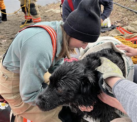 Volunteer firefighter rescues dog in lake